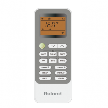 Roland RD-WZ24HSS/N1